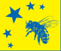 election image