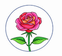 election image